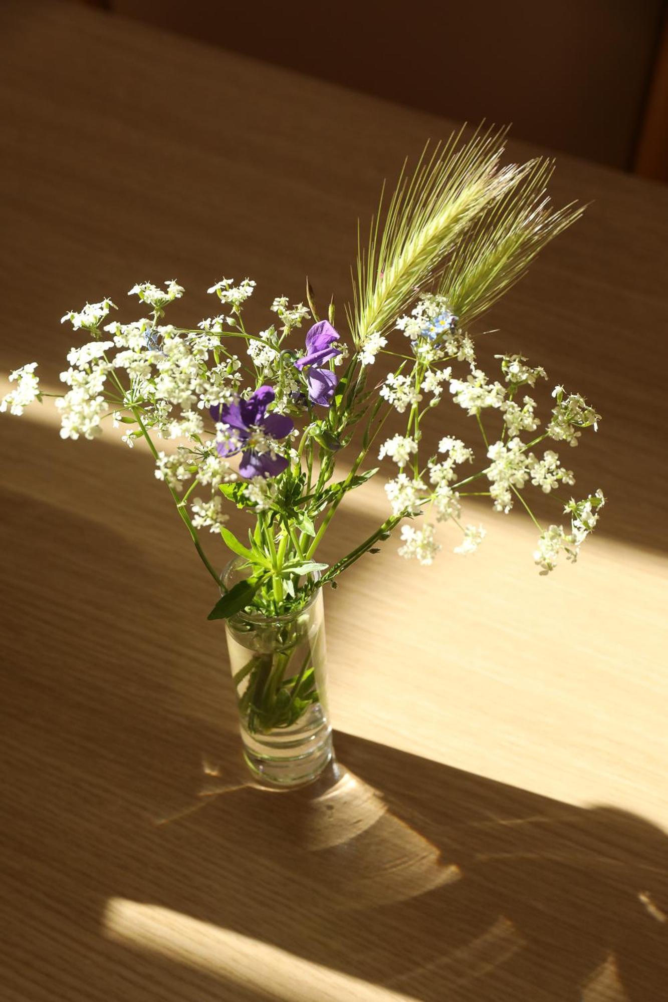 Logis Hotel Spa Restaurant Le Provence Lanarce ภายนอก รูปภาพ
