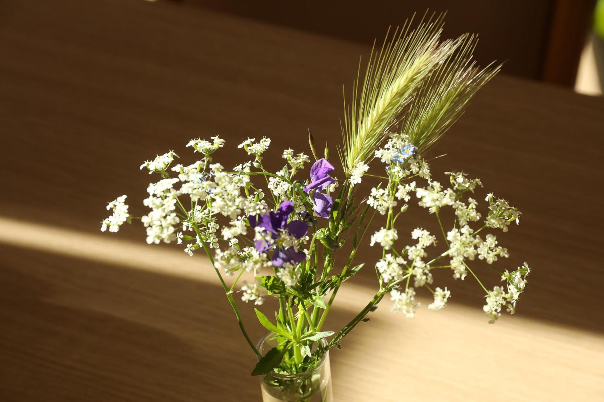 Logis Hotel Spa Restaurant Le Provence Lanarce ภายนอก รูปภาพ